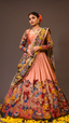Hand work Peach kalamkari lehenga